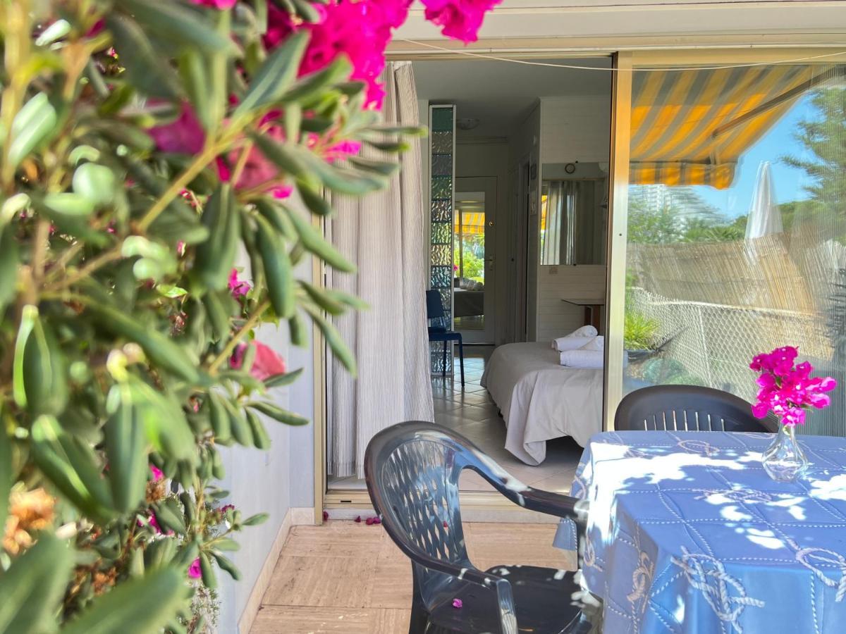 Blue Terrace Apartment - Marina Baie Des Anges Villeneuve-Loubet Eksteriør billede